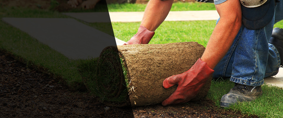 Lansing Landscapers